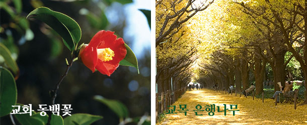 학교상징